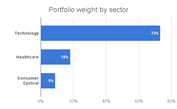 Weights of the portfolio positions by sector in September 2024